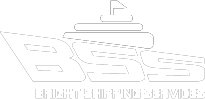 BSS - Bright Shipping Services - Logo